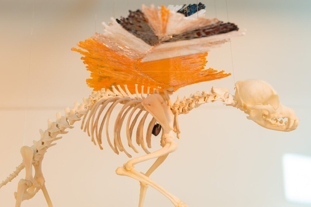 Image of a flying dog skeleton with attached hot sculpted glass orange, white and black, angel wings.