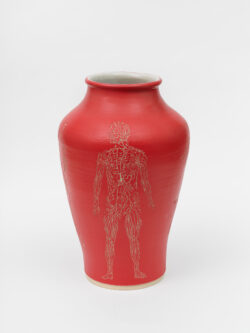 Lymphatic I
2022 A large red wheel-thrown ceramic vessel that has a wide shoulder and comes to a smaller opening at the top with a white interior. The surface is carved with several diagrams representing the lymphatic system of the human body.