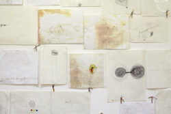 This is the Story
2014-15 A wall of pen doodles and drawings that reference black holes and other space diagrams.