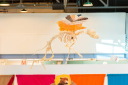 Image of a flying dog skeleton with attached hot sculpted glass orange, white and black, angel wings.